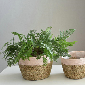 Tự nhiên lưu trữ wicker giỏ planter có thể gập lại ngoài trời phi Ba lô Nhà cung cấp Vòng bụng cỏ biển <span class=keywords><strong>laudery</strong></span> giỏ - Product Image 4