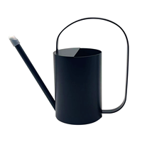 Arrosoir d'extérieur en acier inoxydable noir pour jardin, arroseur d'irrigation, arrosoir pour plantes d'intérieur avec long bec