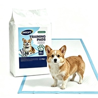 Tapis d'apprentissage super absorbants pour chiots, pour l'entraînement à la propreté des chiens et des chats, tapis absorbants d'intérieur en PE pour animaux de compagnie
