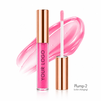 Gloss à lèvres repulpant transparent effet verre, hydratant et volumisant, non collant, avec logo personnalisé, vente en gros OEM