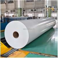 Papier en rouleau de qualité alimentaire APP/Nine Dragons/Bohui 190 g/m² pour la fabrication de boîtes en carton à grande vitesse