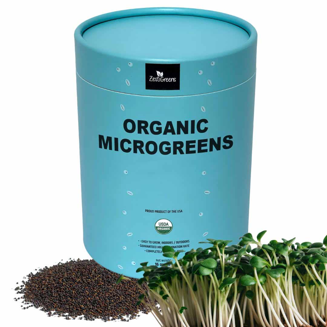 Superfood Microgreen Mix 1lb Organic Non-GMO Broccoli Cabbage Food Grade Tin Modern for Easier Scooping Freshness Preservation