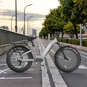 China Best Selling Elctric/bike Electric Bicycle 26inch 750W 48V City <strong>Electic</strong>/<strong>cycle</strong> Electric/bicycles - Product Image 1