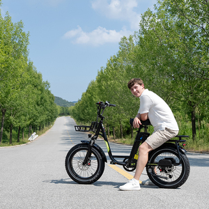 Vélo électrique KOOLUX X7, cyclomoteur de route avec pédales, moteur à moyeu arrière, usage urbain, pneus larges 20X4.00, 25 km/h - Product Image 1