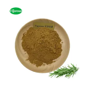 Rosmarino biologico in polvere rosmarino 5% estratto di acido carnosico Rosmarinus officinalis