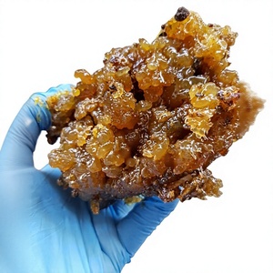 Guggul-Polvo de incienso para extracto, Commiphora, mukul, wightii - Product Image 1