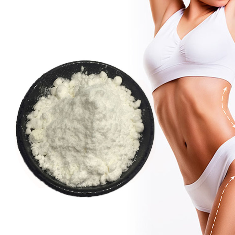 bulk l carnitine base powder Premium L-Carnitine Supplement Boost Energy & Metabolism 98% Acetyl L-Carnitine Base for Optimal Absorption| Alibaba.com