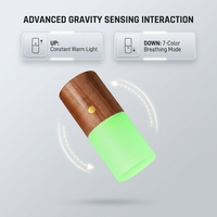 Veilleuse moderne en bois à détection de gravité, rechargeable 780 mAh, lampe à bascule RGB à changement de couleur pour décoration de chevet