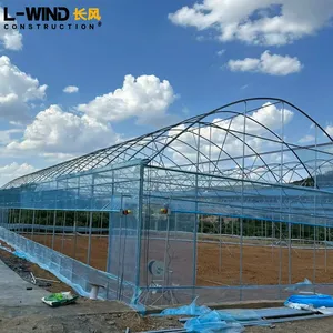 High Tunnel Green House Lettuce Leafy Greens Grow Greenhouses Professional