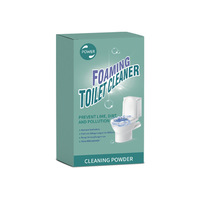 Nettoyant WC Moussant Transfrontalier en Poudre Effervescente, Détartrant, Désodorisant et Détachant Domestique 150g Guangdong