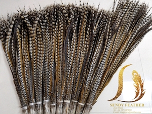 Plume naturelle de faisan de Reeves de 20-25 pouces bon marché de fournisseur de fabrication pour la décoration de costume de festival de carnaval