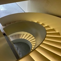 Fabricant d'escaliers de Shanghai : Escalier de villa à double poutre avec main courante latérale en acier inoxydable 304, type pilier rotatif à arc
