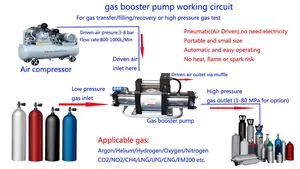 2024 sıcak satış ODMT fabrika otomotiv endüstrisi için 150-300 Bar pnömatik hava basıncı yoğunlaştırıcı gaz pompası