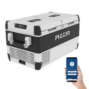 Refrigerador portátil de aire libre para camión, refrigerador de 12v y 24v para medicina - Product Image 1