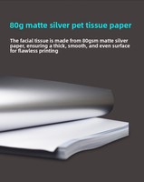 Étiquette autocollante A4 en PET argenté mat, résistante à l'eau, pour impression laser et jet d'encre