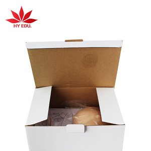 Simulator Pemeriksaan Payudara Model Lanjutan Model Anatomi Payudara - Product Image 5