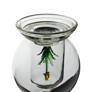 Hand Made Mouth Blown High Borosilicate Glass Empty De Botellas <strong>Reposado</strong> <strong>Tequila</strong> Whiskey Brandy Vodka Mexican Bottle - Product Image 6