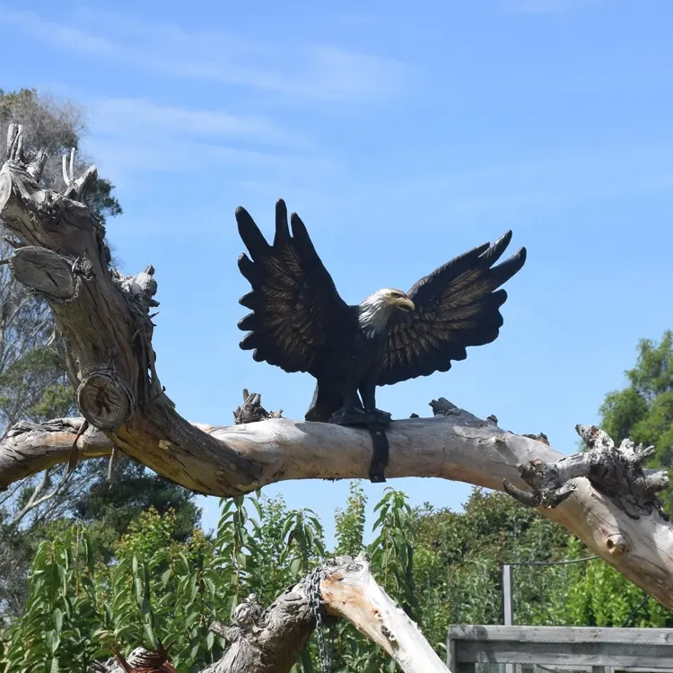 Tùy Chỉnh Kích Thước Cuộc Sống Bronze Animal Bird Điêu Khắc Brass Eagle Tượng Cho Trang Trí Cây