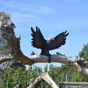 Patung Burung Perunggu Ukuran Hidup Kustom Patung Elang Kuningan untuk Dekorasi Pohon