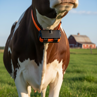 Traceur GPS 4G pour vaches et chevaux avec batterie de 30000 mAh, longue autonomie, collier GPS pour gros animaux d'extérieur, dispositif de suivi GPS étanche