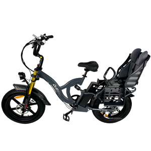 Offre Spéciale longue portée 20 "1000 watts moteur à grande vitesse montagne E Bike neige vélo électrique avec sièges enfant - Product Image 1