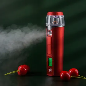 Fabrik preis Handheld Mini tragbares Nano-Spray Handlicher Gesichts nebel Gesichts sprüher Gesichts dampfer mit Power Bank