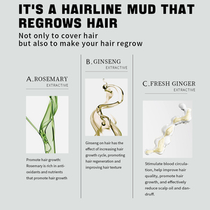 Nouvel Arrivage Poudre Capillaire Bio aux Herbes pour Remplissage et Camouflage Anti-Chute, Imperméable et Résistante à la Transpiration, avec Applicateur - Product Image 4