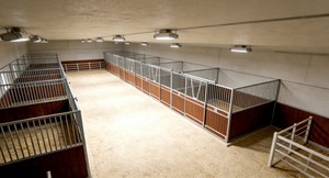 Box per <span class=keywords><strong>Cavalli</strong></span> 12x12ft Zincato a Caldo con Frontale e Pareti Divisorie per Club Equestri, Box Economico per <span class=keywords><strong>Cavalli</strong></span> da Dressage - Product Image 3