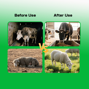 Estimula el apetito, promueve la motilidad del rumen en rumiantes, reduce la pérdida <span class=keywords><strong>de</strong></span> alimento y los trastornos intestinales. - Product Image 5