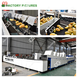 Machine de tri et de classement automatique de fruits Gelgoog, pomme, orange, mangue, prix de la ligne de tri, machine de classement électronique de mangues - Product Image 4