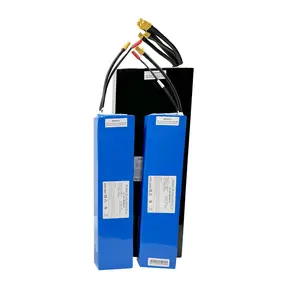 Custom 24V 36V 48V 60V 72 Volt 20Ah 30Ah 40Ah 50Ah 100Ah 200Ah 10S3P 10S4P 10S5P Lithium Ion Battery Pack