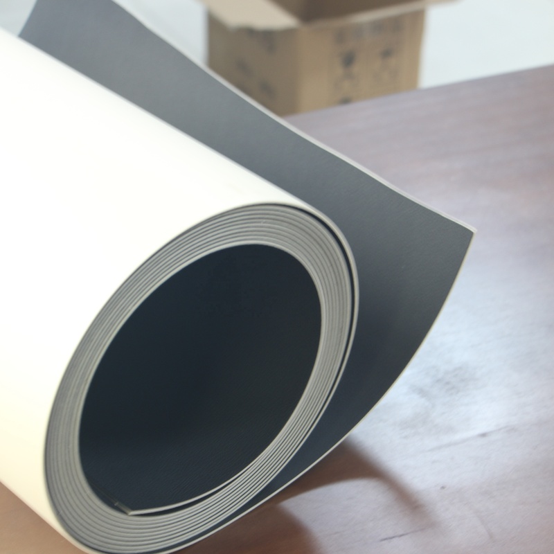 XIONGLIN Direct Customized Thickness TPO PPF