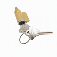 Cylindre de serrure de porte d'armoire en laiton satiné durable, en laiton massif, avec clé en acier, pour accessoires de quincaillerie d'armoires de contrôle – Vente directe usine