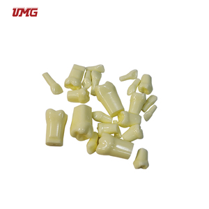 치과 연습을 위한 똑바른 뿌리를 가진 수지 아이들의 영원한 이 - Product Image 2