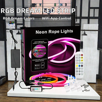 Bande lumineuse LED néon RVB à couleurs changeantes, contrôle intelligent par application WiFi, 12V/24V, adressable RGBIC, PVC IP65, 5m, flexible, moderne