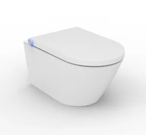 Oceanwell Интеллектуальный керамический биде для ванной комнаты умный туалет с различными функциями