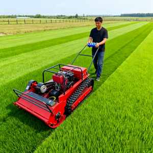 Tondeuse à gazon autoportée, tracteur pour une utilisation facile - Product Image 5