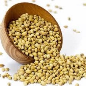 Productos Agrícolas Aromáticos en Oferta, Semillas Secas de Cilantro, Especias Orgánicas en Polvo para Uso en la Cocina - Product Image 1