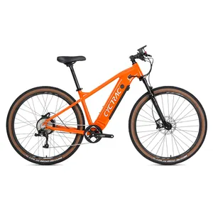 Mtb Legierung Mountainbike 29er versteckte wiederauf ladbare Lithium batterie Elektro fahrrad 48v 500w