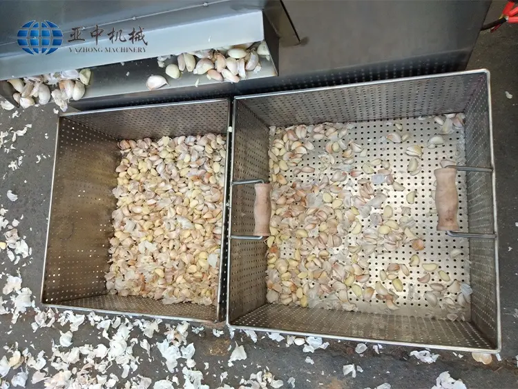304 stainless steel garlic peeling machine peeler garlic breaking machine