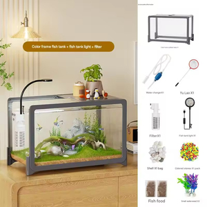 Pecera Pequeña de Escritorio para Peces Dorados y Tortugas con Paisajismo Ecológico y Accesorios - Product Image 2