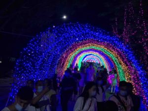 3D vòm Motif đèn <span class=keywords><strong>led</strong></span> thời gian đường hầm Đèn trang trí ngoài trời khổng lồ <span class=keywords><strong>LED</strong></span> giáng sinh hộp PVC Tùy chỉnh vườn 90 IP65 hỗ trợ 95 - Product Image 4