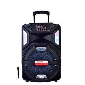 AILIPU – haut-parleur portable pour karaoké en plein air, rechargeable par usb, amplificateur de caisson de basses BT, avec lumière disco led - Product Image 2