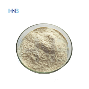 Lactobacillus Plantarum H6 Inactivado de Grado Alimenticio, Suministro de Fábrica HNB, Lactobacillus Plantarum Postbiótico No Viable - Product Image 6