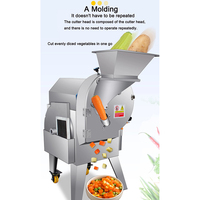 Máquina trituradora de verduras comercial, máquina cortadora automática de pepino, manzana, cebolla, fruta, verduras, cortadora