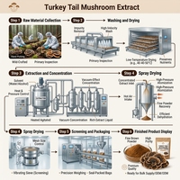 Extrait de Trametes Versicolor LongBio en poudre, champignon queue de dinde pour compléments alimentaires et boissons, OEM ODM