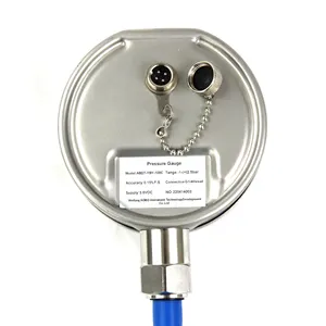 Groothandelaren Elektronische Luchtpomp Standpijp Modderpomp Differentiële Precisie Lpg Gas Adapter Manometer 10000 Psi Voor Graafmachine