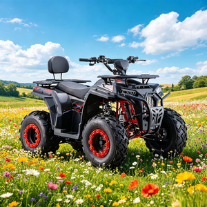 <span class=keywords><strong>Cuatrimoto</strong></span> de Gasolina de 180cc para América del Sur, Vehículo Utilitario para Granja y Trabajo con Portaequipajes, Estructura de Acero Resistente, Todoterreno - Product Image 6