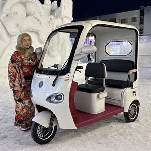 खोखले 650W लंबी रेंज 3-लोगों की इलेक्ट्रिक ट्राइसाइकिल बड़ी क्षमता आउटडोर इलेक्ट्रिक 3-व्हील स्कूटर ओएम समुदाय और दैनिक उपयोग के लिए - Product Image 3