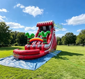 Toboggan aquatique gonflable tropical commercial en PVC robuste avec piscine à jets et <span class=keywords><strong>d</strong></span>écoration palmier pour la <span class=keywords><strong>location</strong></span> - Product Image 4